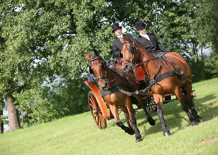 Hotel Sypniewo Margonin